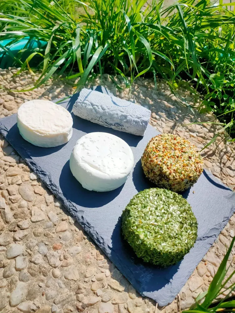 Vente de fromage de chèvre près de Fréhel 